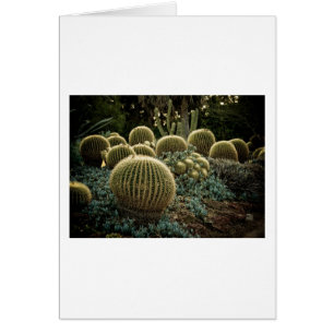 Cartão Cactus