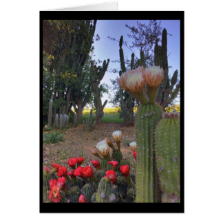 Cartão Cactus Bloom