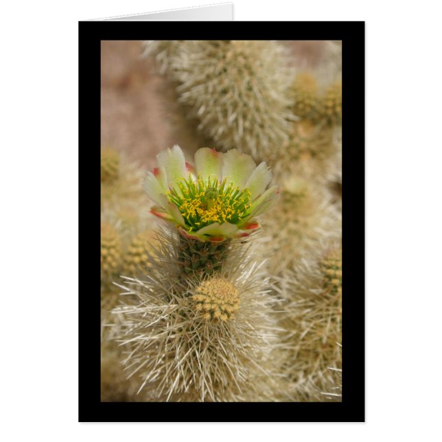 Cartão Cactus Bloom (Frente)