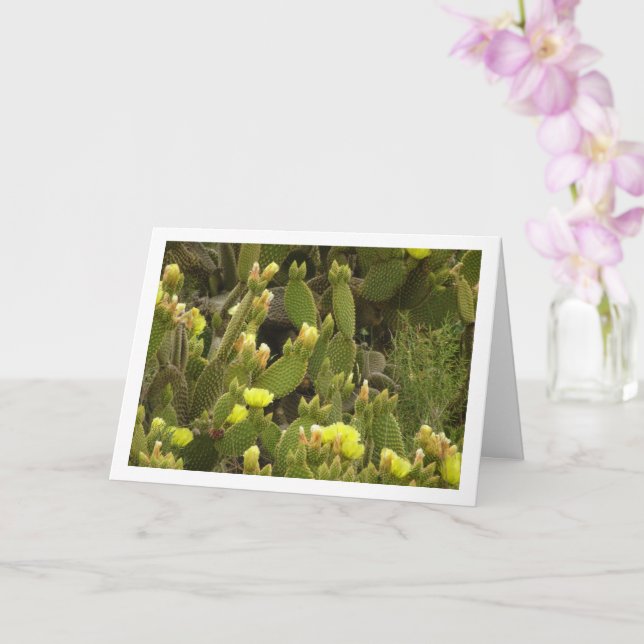 Cartão Cactus de Orelha de Coelho Florido, Opuntia Microd (Orquídea)
