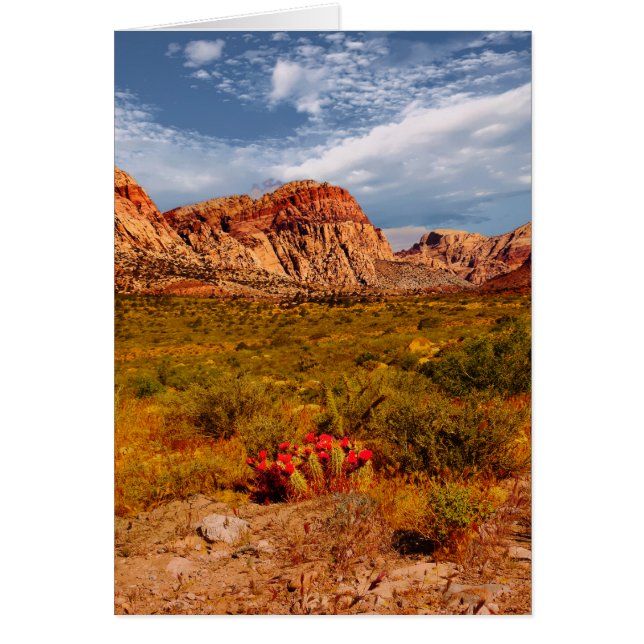 Cartão Cactus no deserto, sudoeste, Dentro Vazio (Frente)