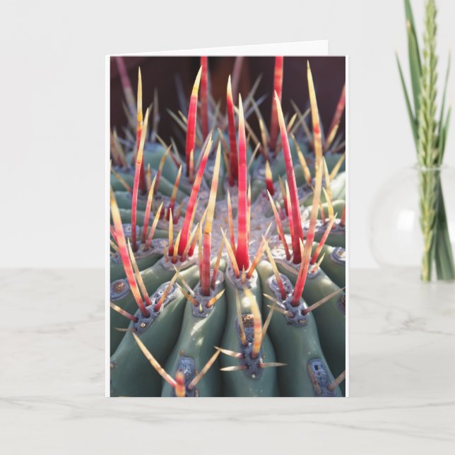 Cartão Cactus notecard (Frente)