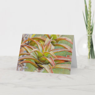 Cartão Cactus Succulent Aloe Art Note Card