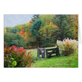 Cartão Cada saída é uma entrada em outro lugar