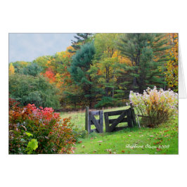 Cartão Cada saída é uma entrada em outro lugar