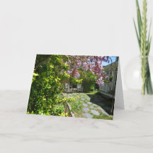 Cadeias de Wisteria e Rocking - Vineyard de Martha