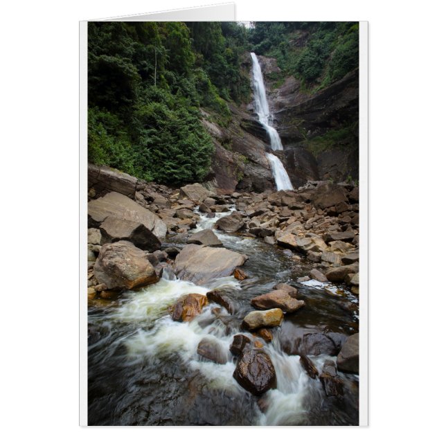 Cartão Cadeias naturais e rio (Frente)