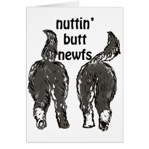 Cartão Cães da Terra Nova