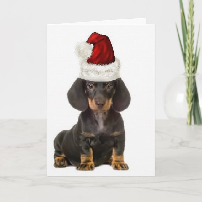 Cartão Cães Ditzy~Notecard Original~Dachshund (Frente)