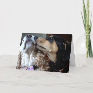 CARTÃO CÃES DIZEM AMOR VERDADEIRO - TUDO O QUE VOCÊ PRECI