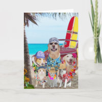 Cães Engraçados/Gatos Havaianos/Surfistas Aniversá