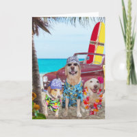 Cães Engraçados Havaianos/Surfistas Aniversário