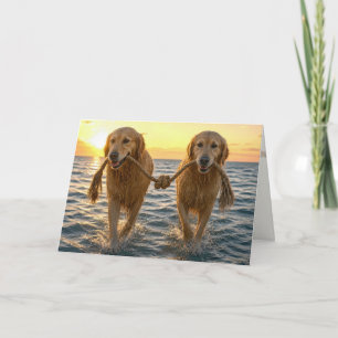Cartão Cães Golden Retriever Casados com Corda Enodada
