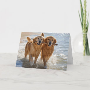 Cartão Cães Golden Retriever de Aniversário Carregando um