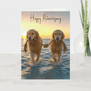 Cartão Cães Golden Retriever de aniversário com corda ema
