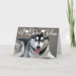 Cartão Cães Malamute do Alasca Eu Amo Você