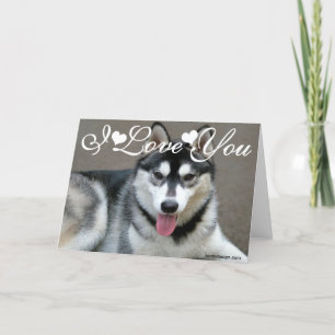 Cartão Cães Malamute do Alasca Eu Amo Você