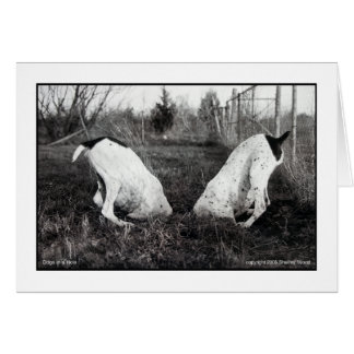 Cartão Cães num Buraco