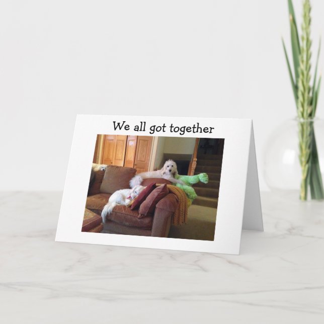 CARTÃO CÃES QUE ASSISTEM AO FILME DE GATOS LOUCOS DIZEM Q (Frente)