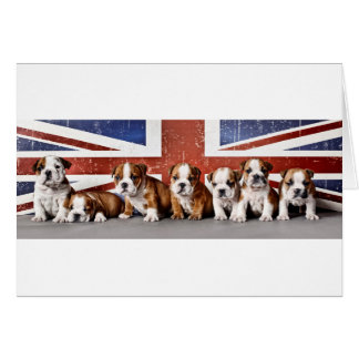 Cartão Cãezinhos-buldogue ingleses