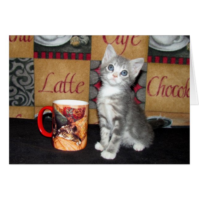 Cartão Café, chá, ou Meow (Frente Horizontal)