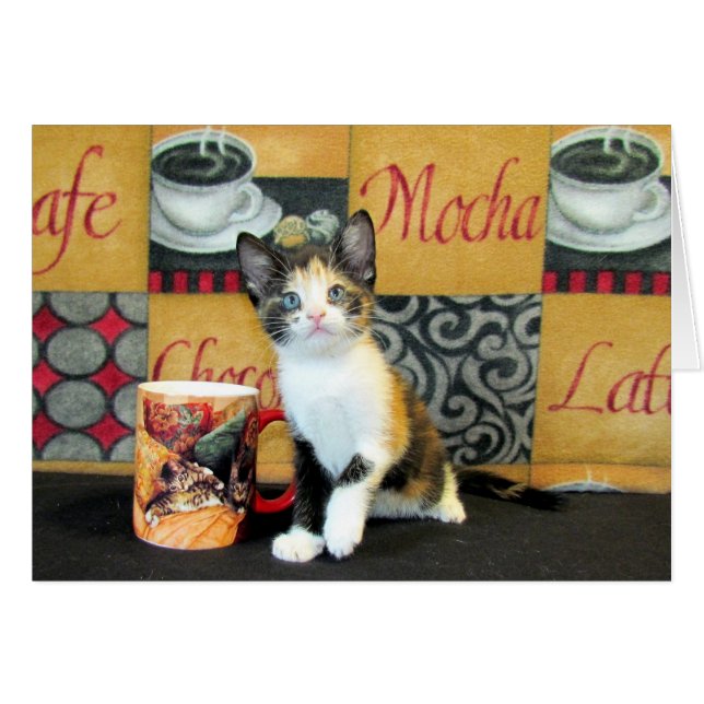 Cartão Café, chá, ou Meow - Leilani (Frente Horizontal)