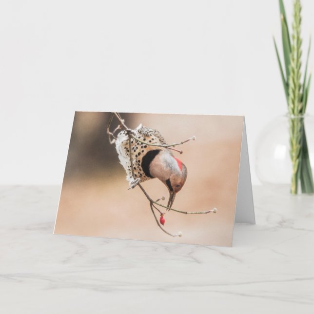 Cartão Café da Manhã de Dogwood Berry (Frente)