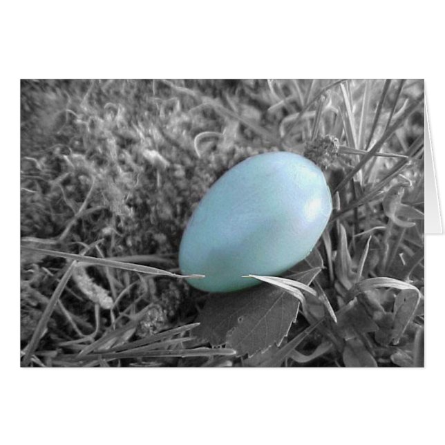 Cartão Caído do ninho (Frente Horizontal)