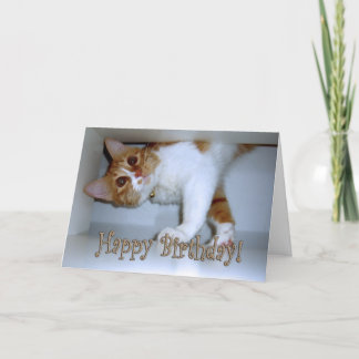 Cartão Caindo No Gatinho - Feliz Aniversário!