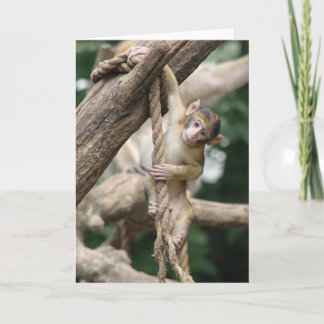 Cartão Cair dentro lá