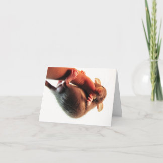 Cartão Cair lá no rato