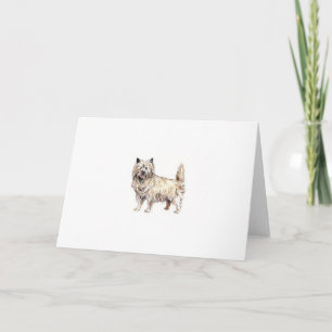 Cartão Cairn Terrier