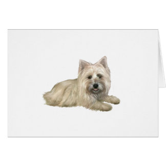 Cartão Cairn Terrier (Trigo) - deitado