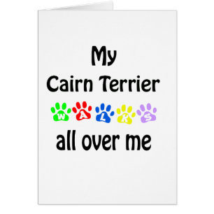 Cartão Cairn Terrier Walks Design