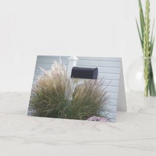 Cartão Caixa De Correio, Asas Ao Meu Coração