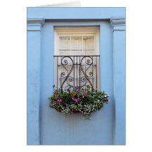 Caixa de Flor da Janela Arco-Íris, Charleston, S.C