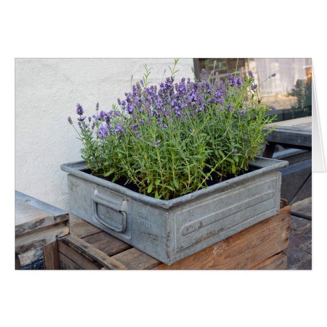 Cartão Caixa de Lavanda no mercado da floração (Frente Horizontal)