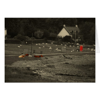 Cartão caixa de telefone