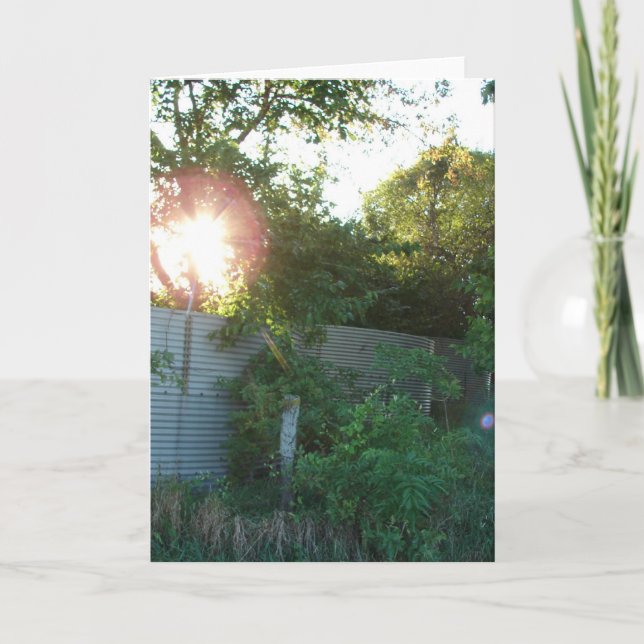 Cartão Caixas Grain Abandonadas (Frente)