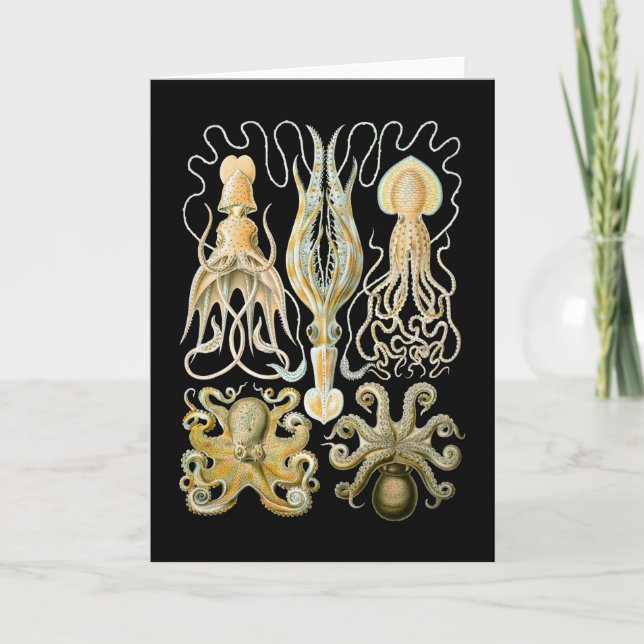 Cartão Calamar & polvo (Frente)