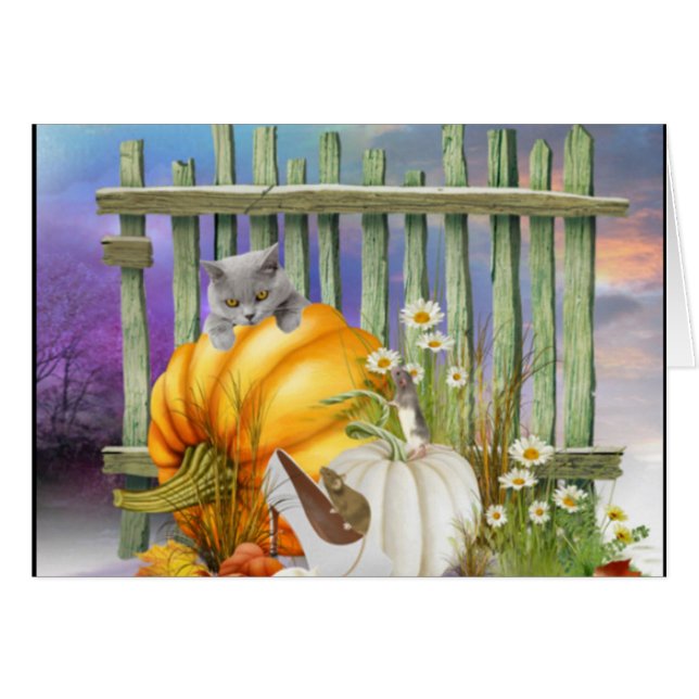 Cartão Calçado branco perdido no sistema de abóbora (Frente Horizontal)