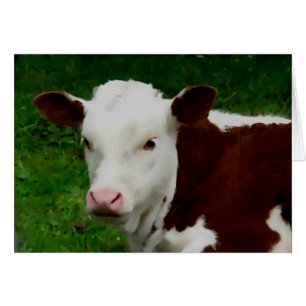 Cartão Calf de Descoloração