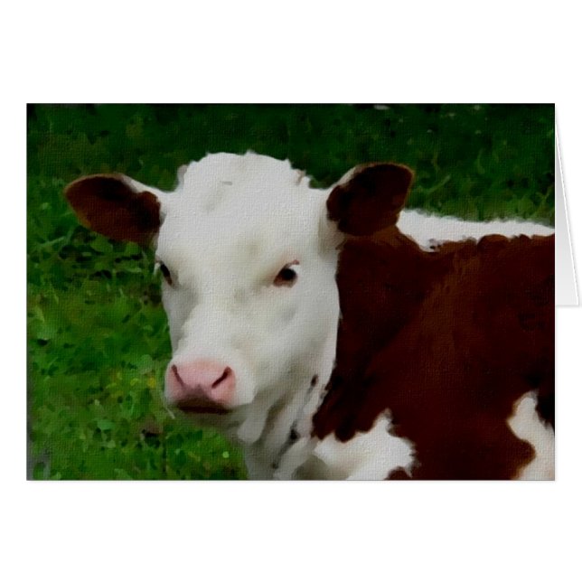 Cartão Calf de Descoloração (Frente Horizontal)