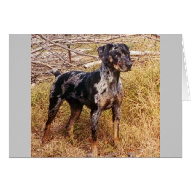 Cartão Cali (Frente Horizontal)