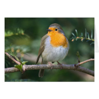 Cartão Cálices de vermelho