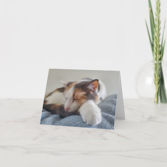 Cartão Calico Cat Dormindo (Frente)