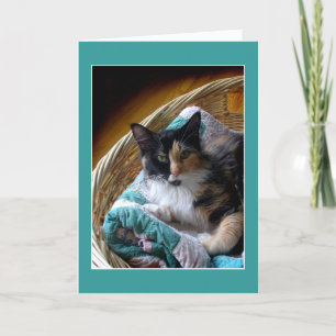 Cartão Calico cat in a basket greeting or note card