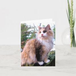 Cartão Calico Cat Pensando Em Você