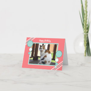 Cartão Calico cat sitting photo coral turquoise
