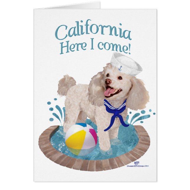 Cartão California Poodle (Frente)